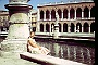 giovinezza in prato (Piero Melloni)